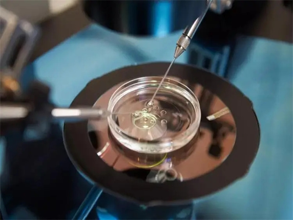 3段奶粉如何正确转奶？方法有哪些？